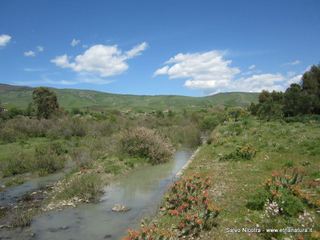 rrente Saracena-26-04-2014 17-08-11